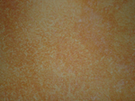 Antické zeminy florentské